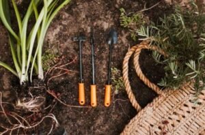 Innovative Vegetation Management Equipment for Eco-Friendly Landscaping