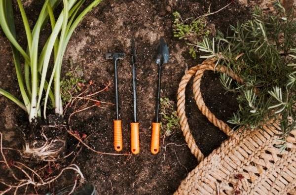 Innovative Vegetation Management Equipment for Eco-Friendly Landscaping